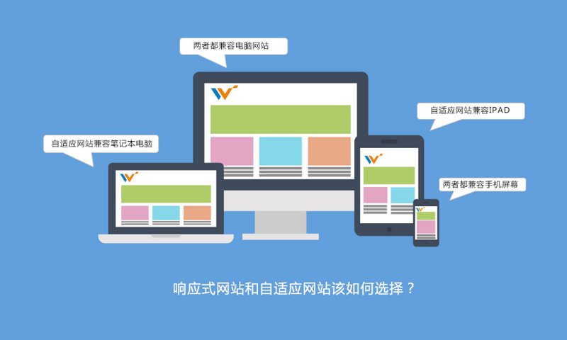 传扬网络科技